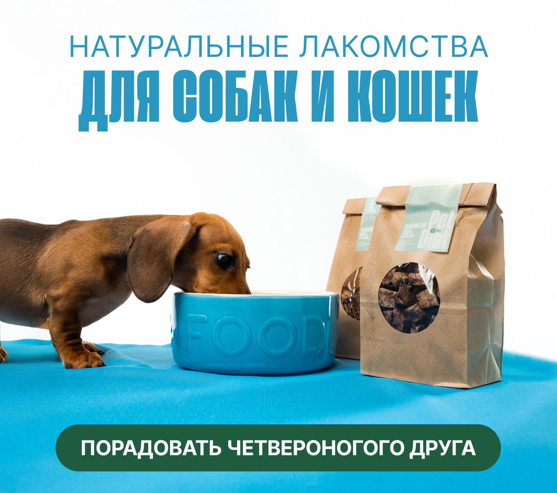 Лакомства