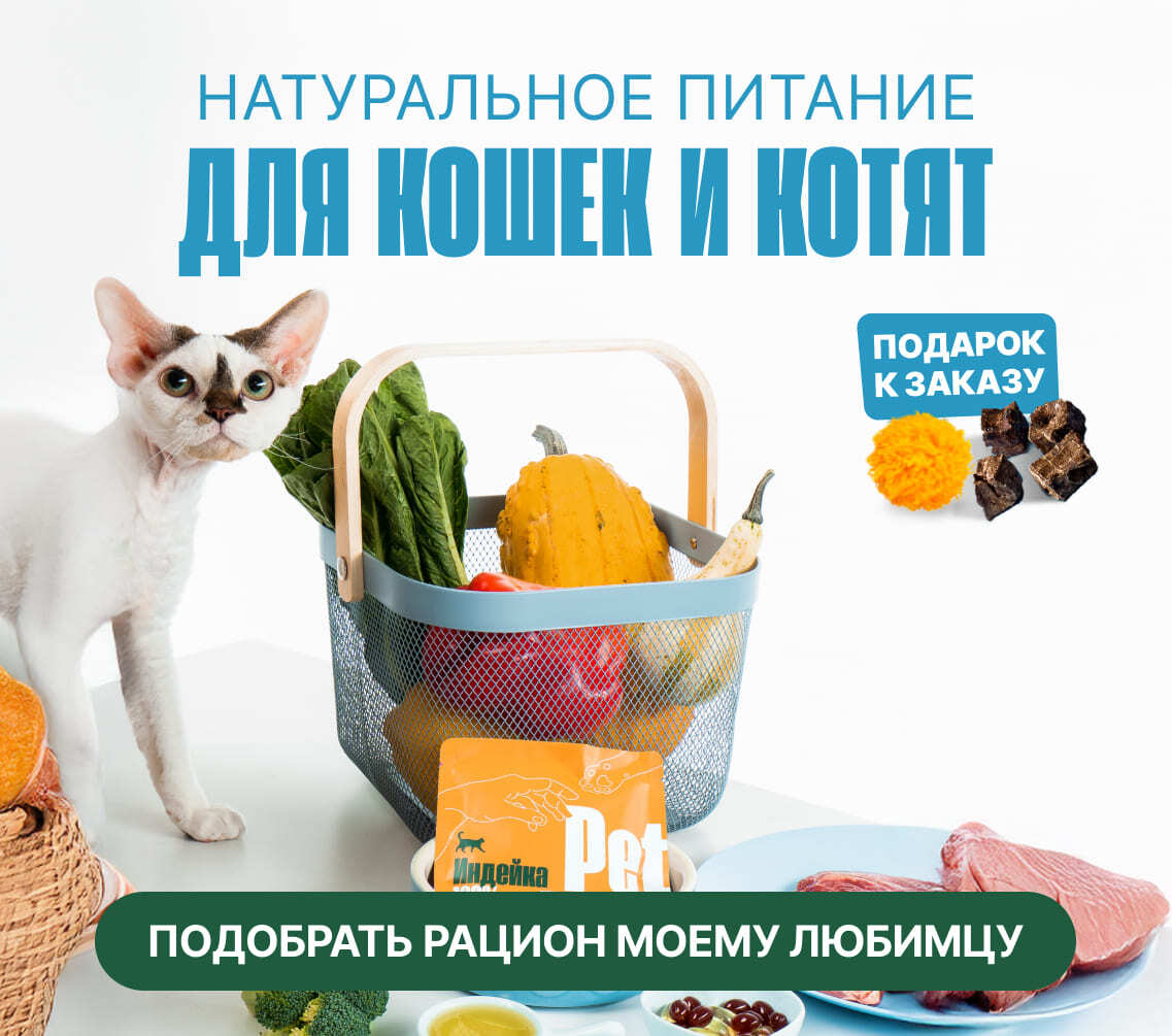 Рационы для кошек